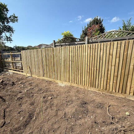 Back fencing posts